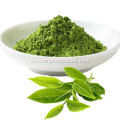 Bio -grüner Teepulver für Teemassen